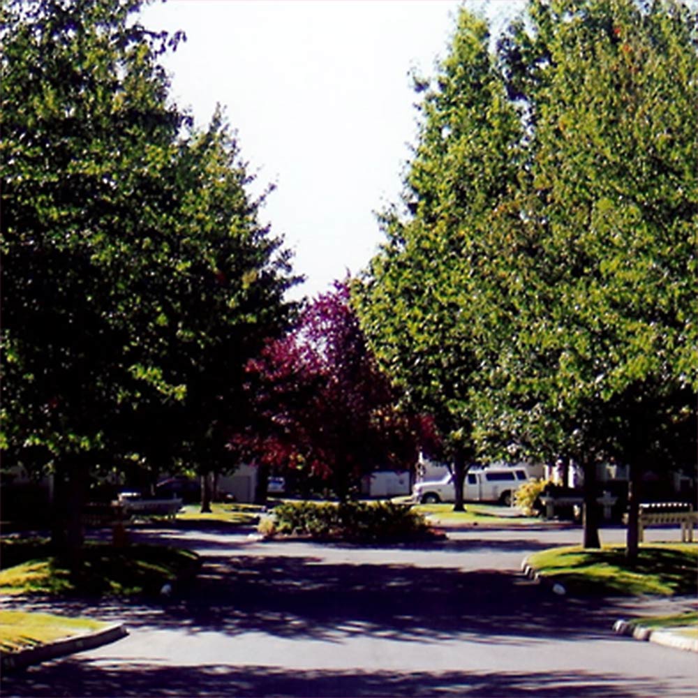 Test Facility Grounds Installation